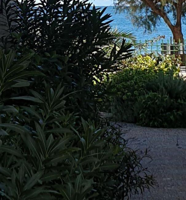 Garden Lefkanti, 4season Plaza